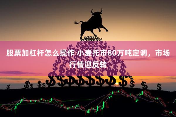 股票加杠杆怎么操作 小麦托市80万吨定调，市场行情迎反转