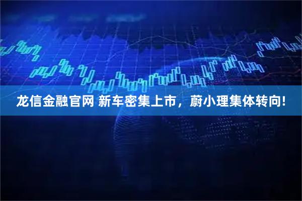 龙信金融官网 新车密集上市,蔚小理集体转向!